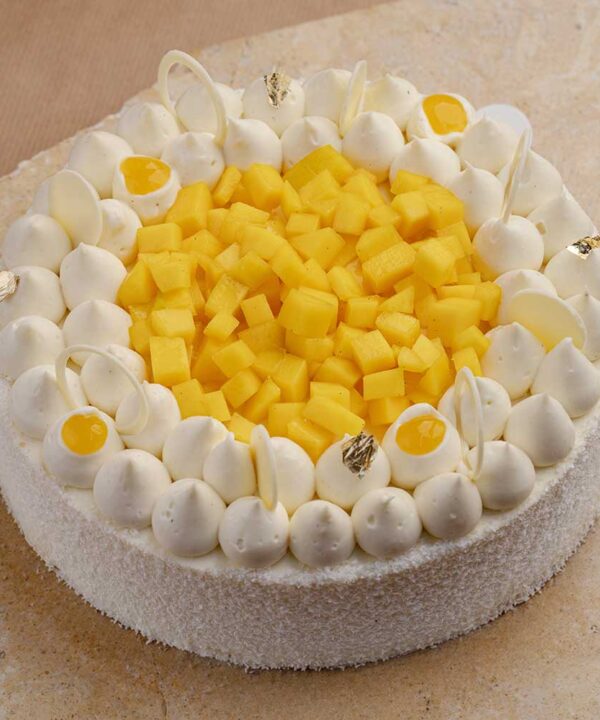 Entremet Coco Mangue Passion — Sans Gluten (8 à 10 pers)