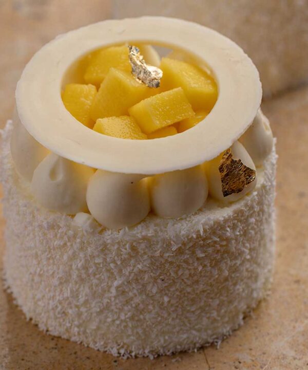 Mini Entremet Coco Mangue Passion - Sans Gluten